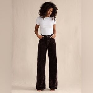 NWT Banana Republic The Icon Classic Wide-Leg Flocked Jean Chocolate Brown